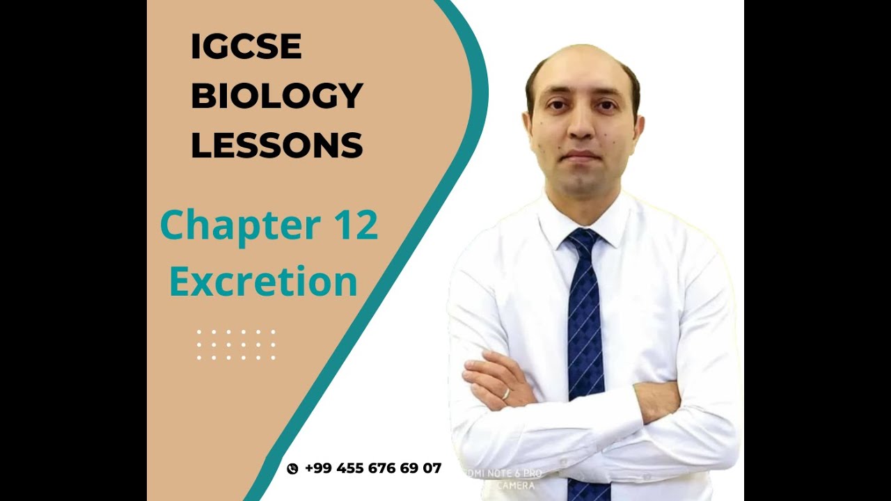 IGCSE Biology EXCRETION part 1