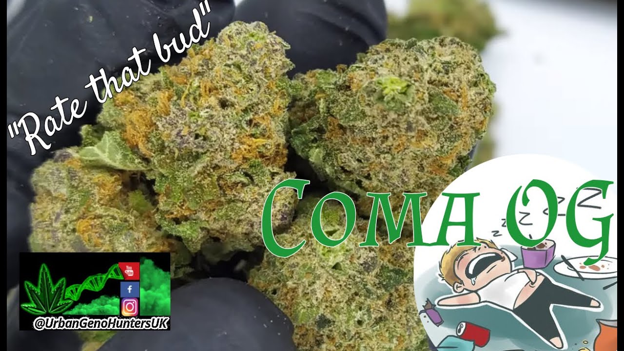 uk cannabis 