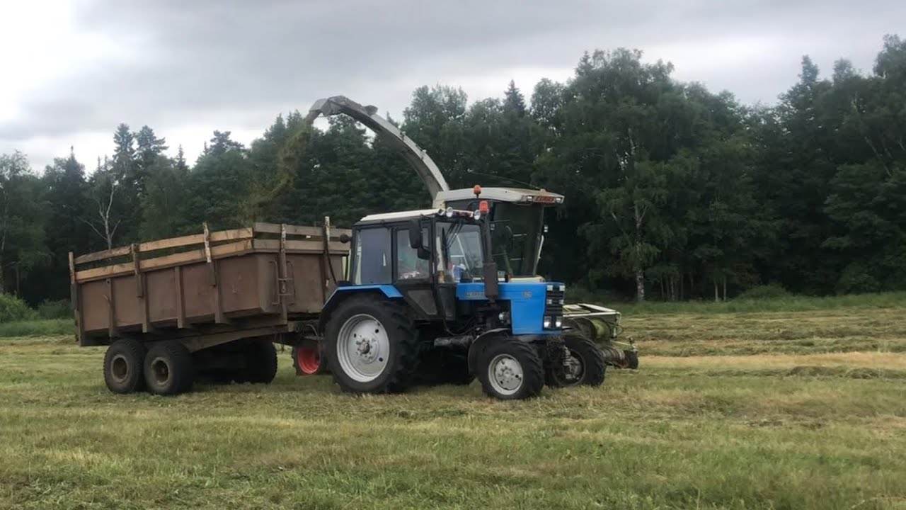 Кормозаготовка / CLAAS Jaguar 850, БЕЛАРУС 1221, БЕЛАРУС 1221В.2, БЕЛАРУС 82.1 /
