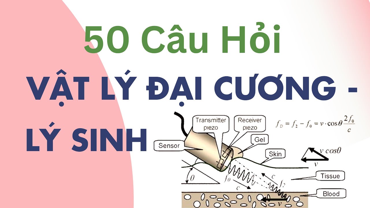 50 Câu Hỏi Ôn Tập Vật Lý-Lý sinh