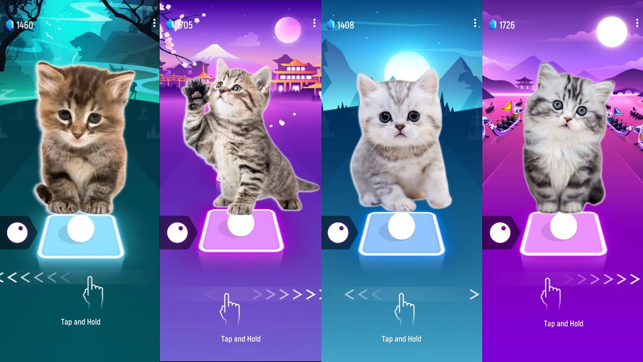 CUTE CATS JISOO FLOWER and FIFTY FIFTY CUPID and LISA MONEY BLACKPINK and BLACKPINK BOOMBAYAH