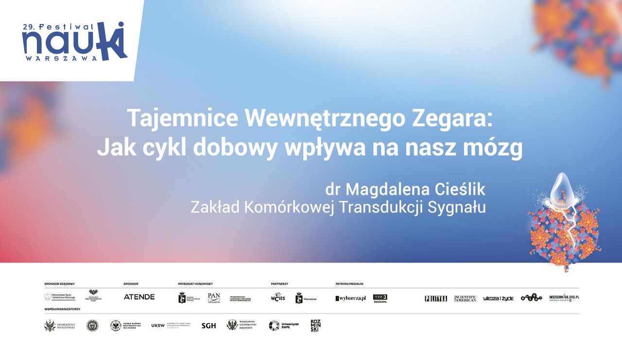 Tajemnice Wewnętrznego Zegara: jak cykl dobowy wpływa na nasz m&oacute;zg - dr Magdalena Cieślik