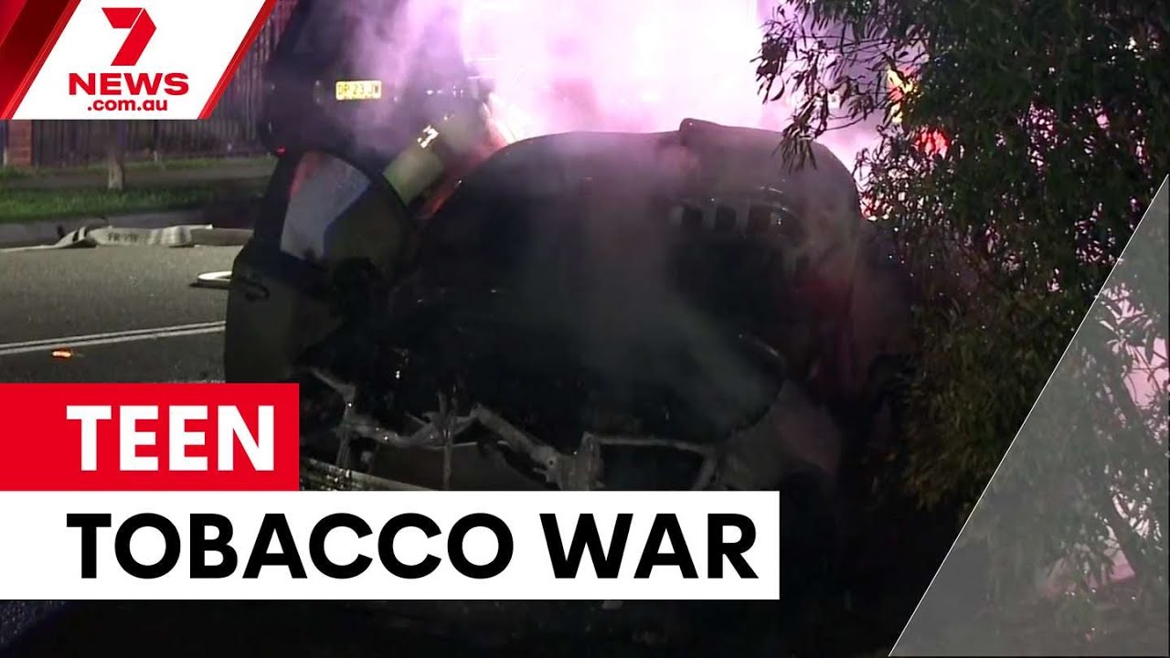 Organised crime recruits teens for tobacco war | 7NEWS