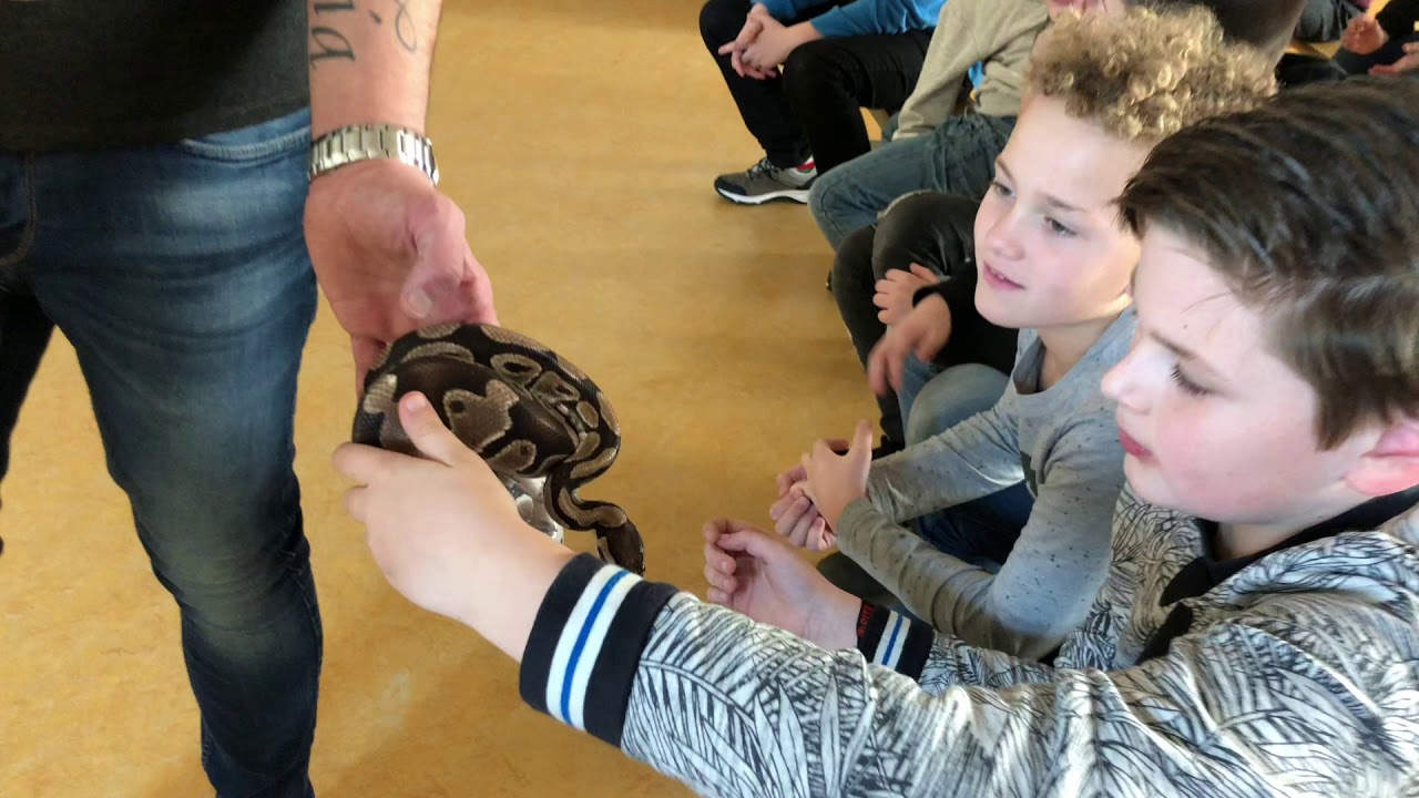 Ateliers Bovenbouw   7 februari 2020