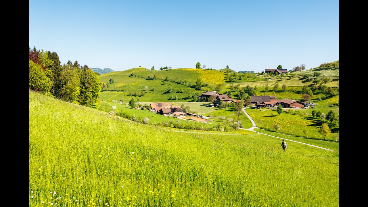 Durch die Moränenlandschaft bei Menzingen ZG / À travers le paysage morainique près de Menzingen ZG