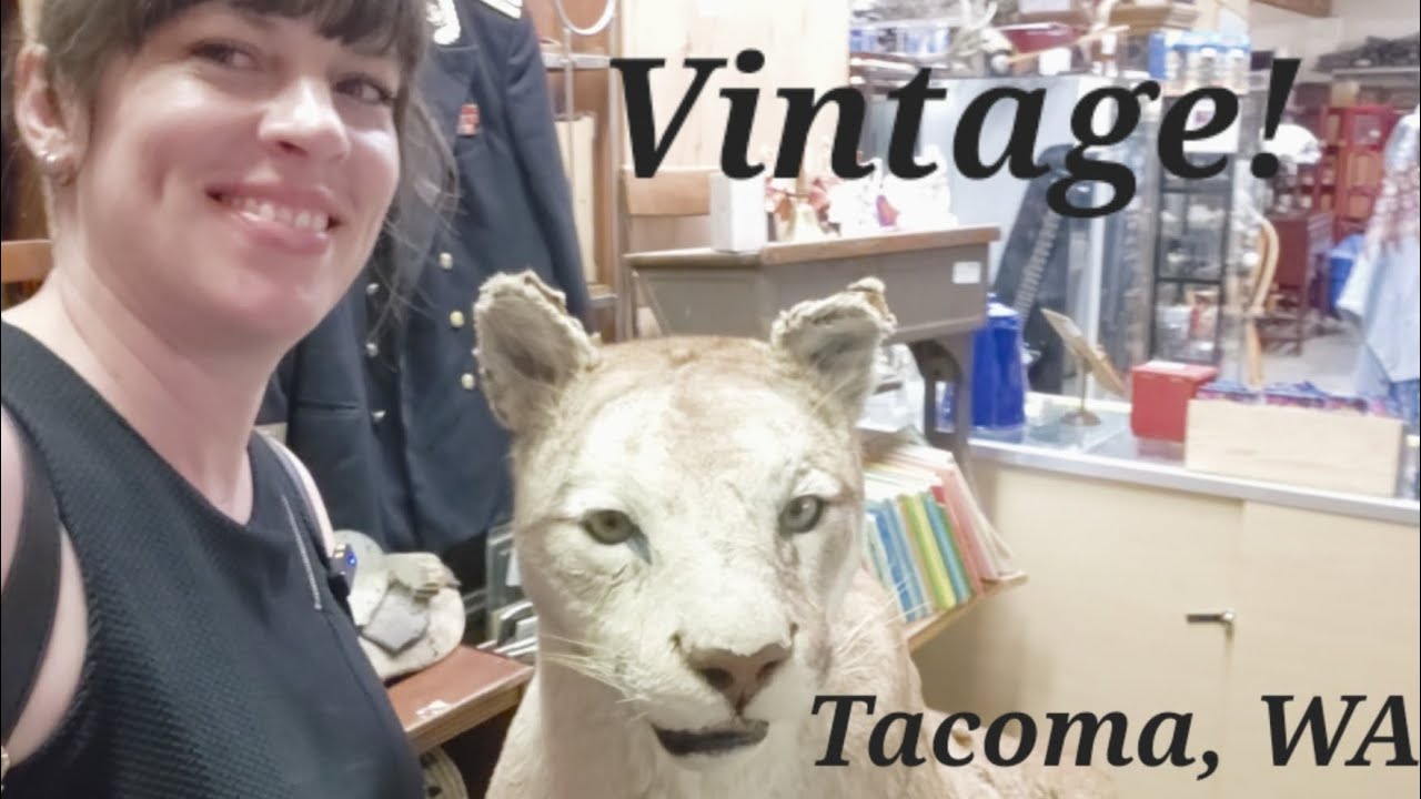Wasn't expecting this! Vintage Shopping & Browsing in Tacoma Washington Shop for Resell + Haul
