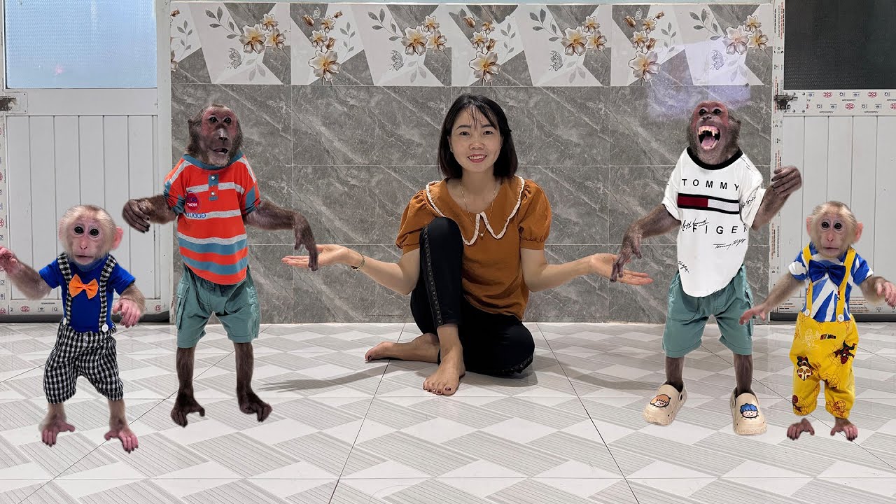 Abu and Baby monkey unexpectedly receive a big gift from Mom!