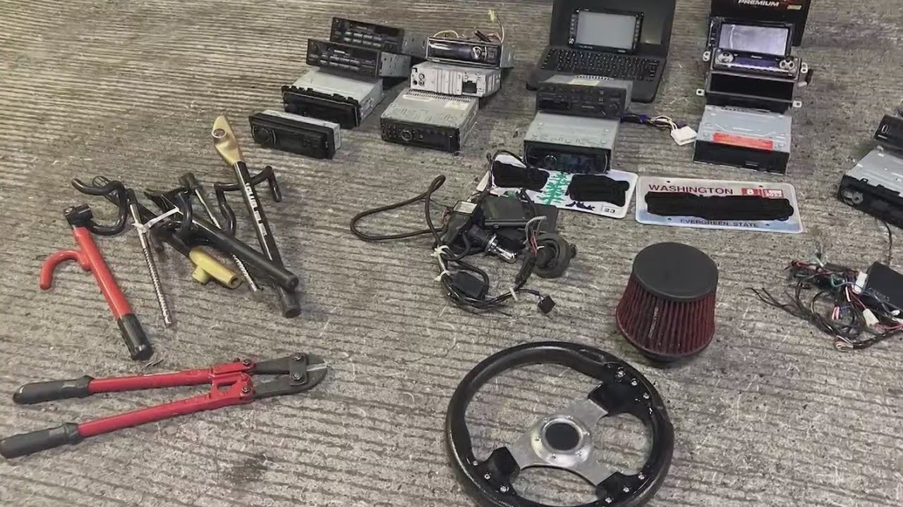 Auto theft task force makes 1st &lsquo;high profile&rsquo; arrest