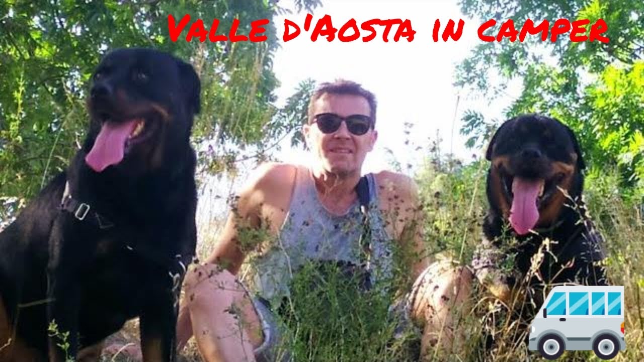 Valle d'Aosta in Camper con i pelosi a bordo