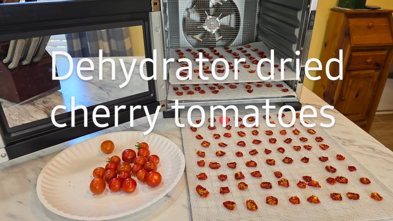 Dehydrator dried cherry tomatoes 