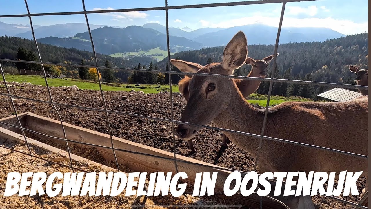 Wandeling op de Wilder Kaiser / Dagje winkelen in Sint Johann en Wörgl. 