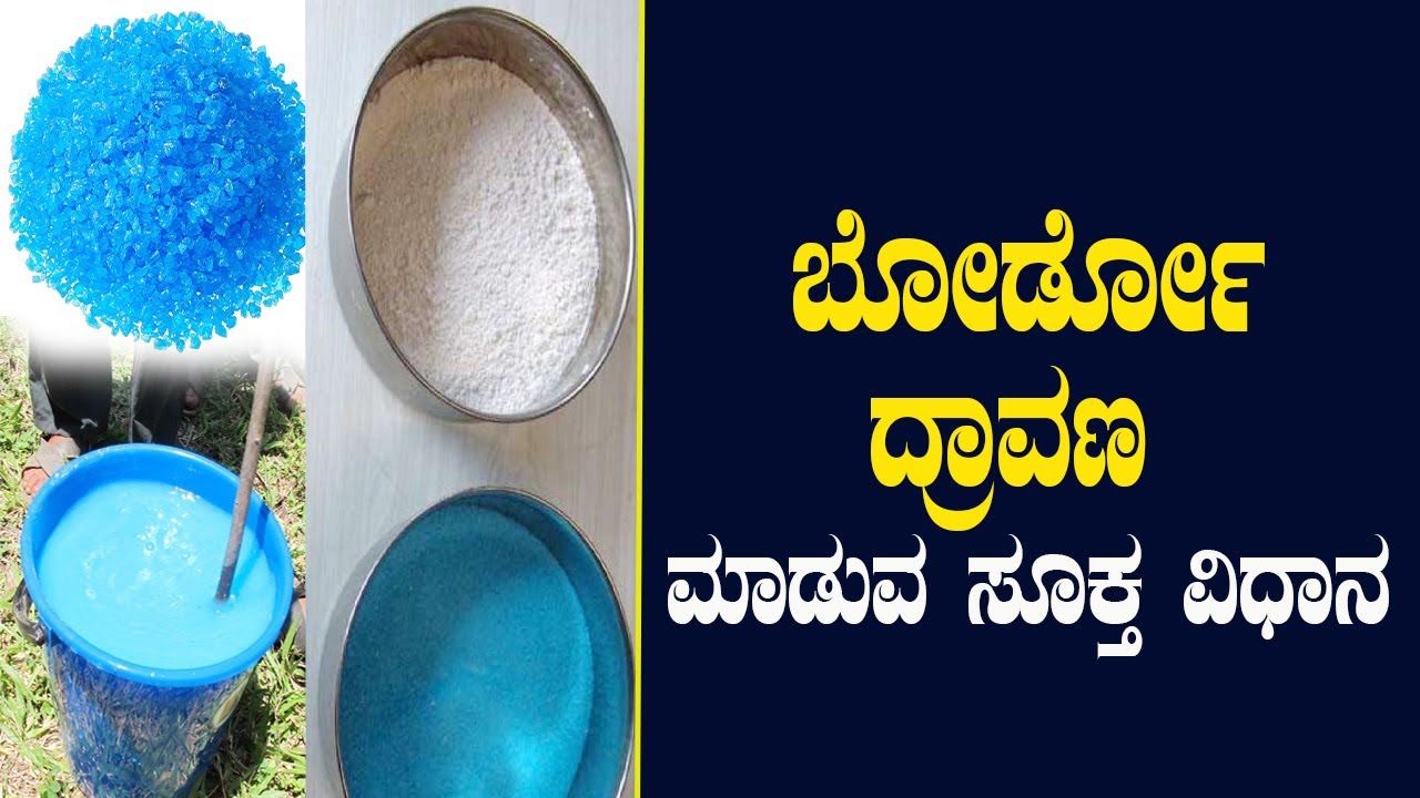 ಬೋರ್ಡೋ ದ್ರಾವಣ ತಯಾರಿಕೆ ಪ್ರಾತ್ಯಕ್ಷಿಕೆ | Bordeaux mixture preparation