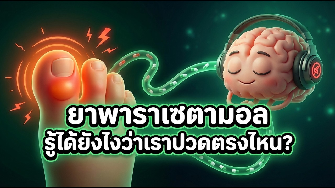 ยาพาราเซตามอล รู้ได้ยังไงว่าเราปวดตรงไหน? | ปริศนารอบตัว