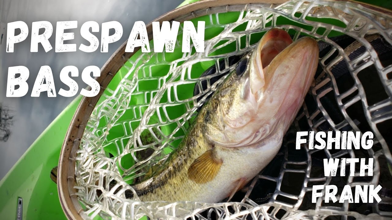 Pre Spawn Bass | Idaho LARGEMOUTH Bass fishing