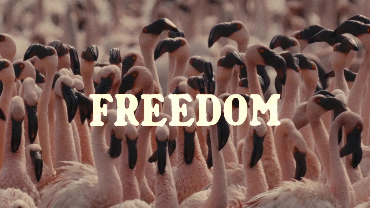 EXCISE DEPT - FREEDOM