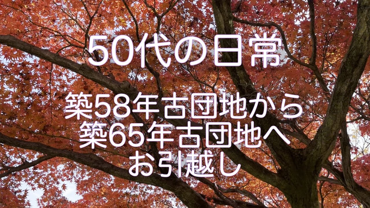 【50代の日常/築58年古団地から築65年古団地へお引越し】今度はもっと古い団地に引越しました！まずはお部屋の紹介です！