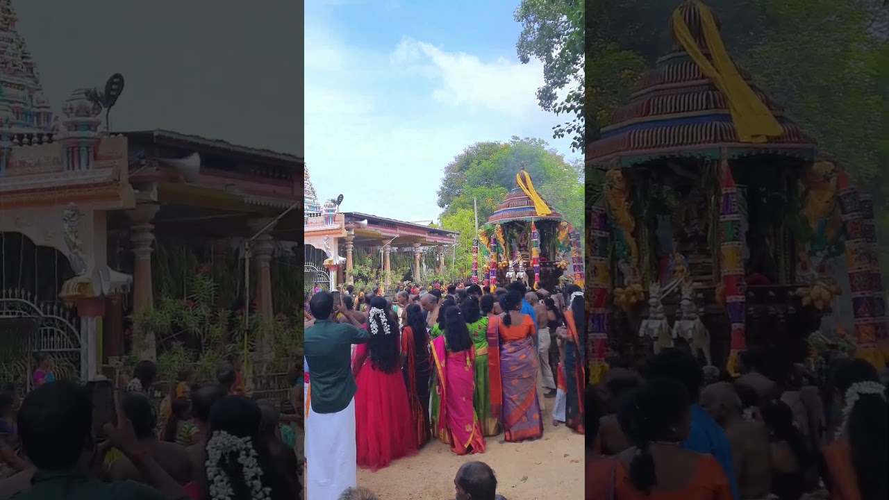 Alvai Muthumani Amman Temple #jaffna #jaffnatamilvlog #kajanthan #shorts #shortsfeed #shortvideo