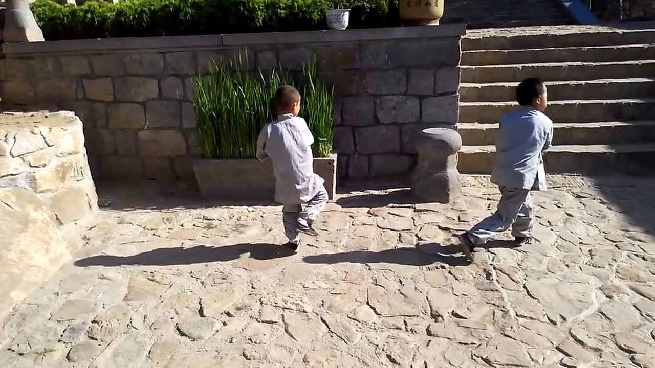 罗汉拳释寂 Shaolin Wu Gulun Arhat Hammer Xinyiba by Lin Qing Xiang+Wu Jin Qiu Wu GuLun Kungfu Academy
