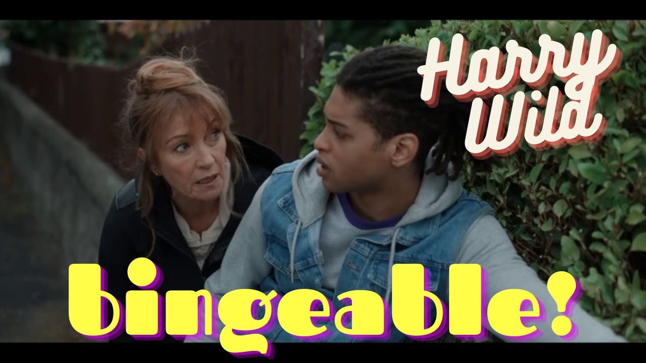 Harry Wild - tv shows to binge!