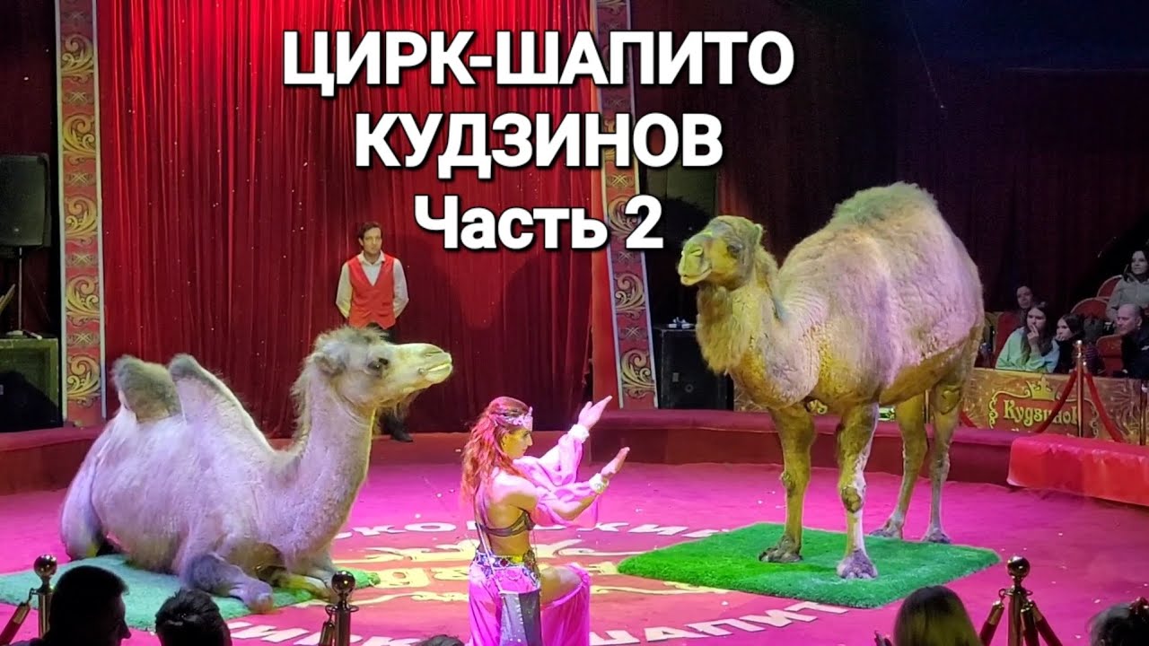 ЦИРК-ШАПИТО КУДЗИНОВ...1апреля 2023.Часть вторая