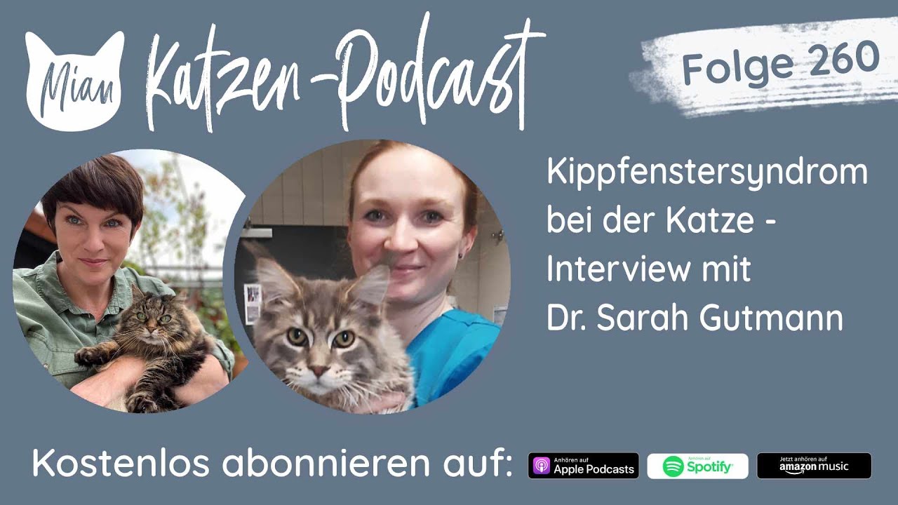 #260 Kippfenstersyndrom bei der Katze | Miau Katzen-Podcast