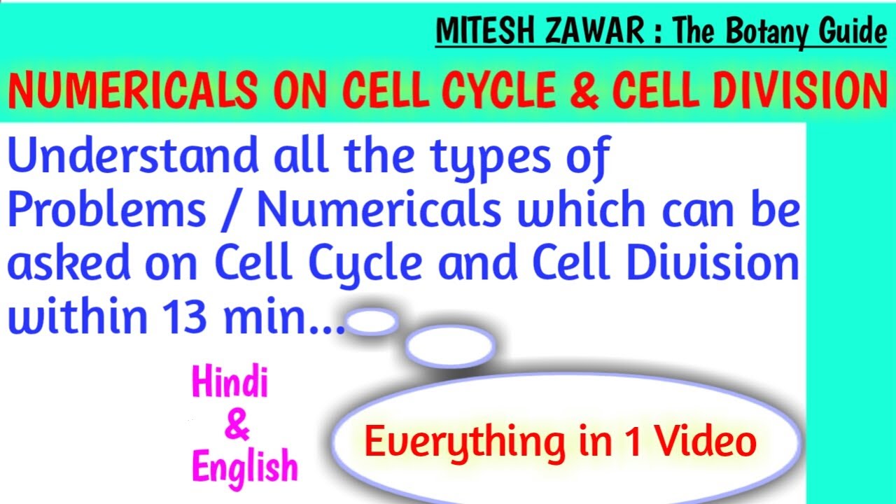 NUMERICALS ON CELL DIVISION || Problems on Cell Cycle and Cell Division