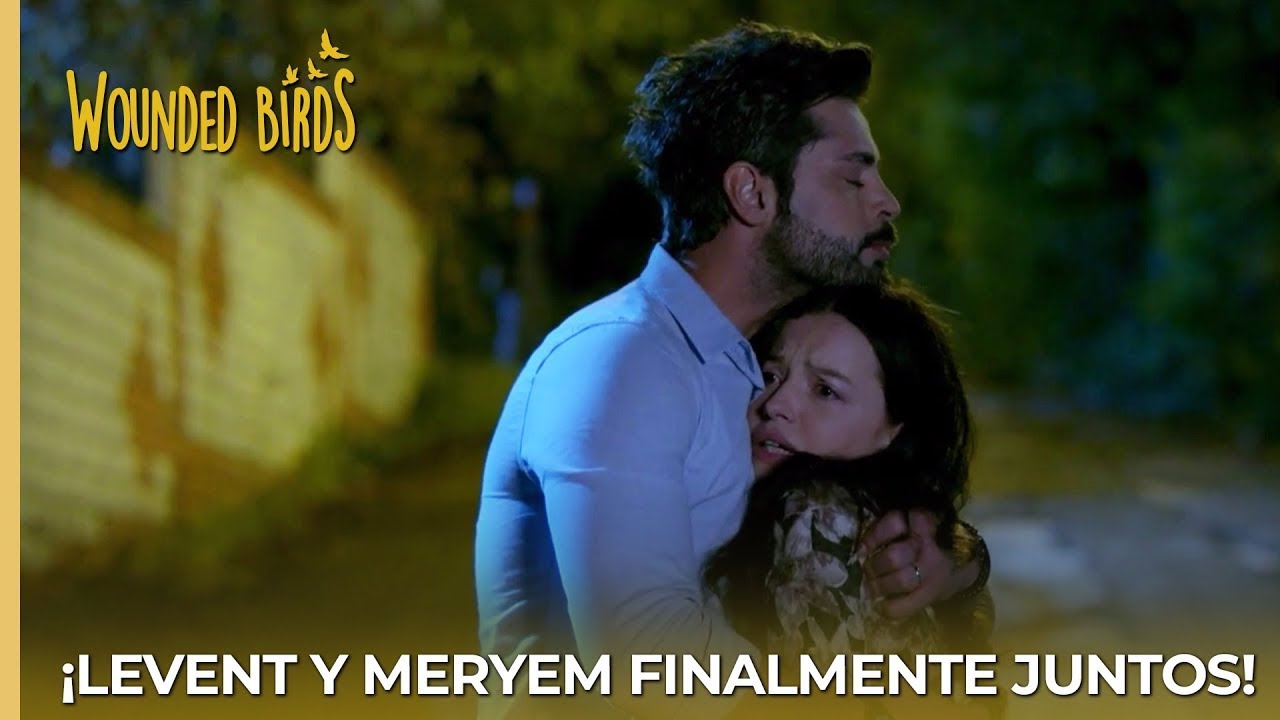 &iexcl;Levent y Meryem finalmente juntos! | Wounded Birds (Yaralı Kuşlar) Cap&iacute;tulo 168