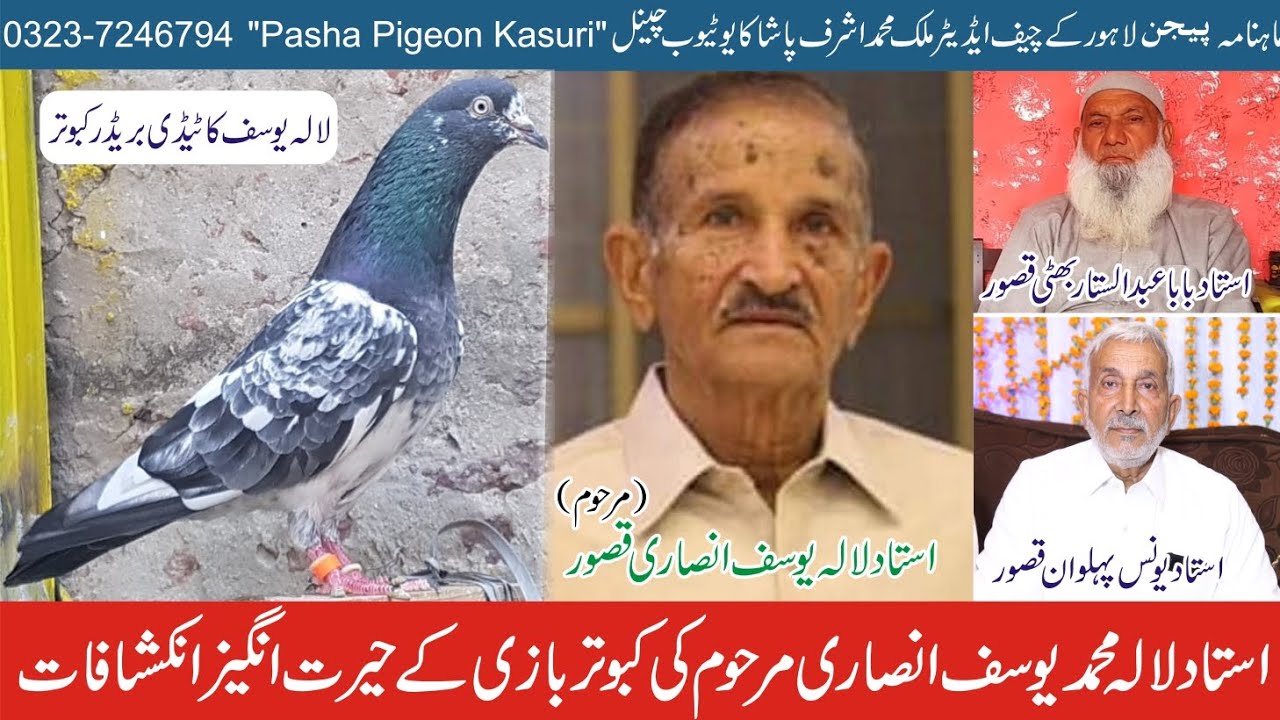 Ustad Lala Muhammad Yousaf Ansari Marhoom ki Kabootrbazi k hairat Angeez Inkashafat