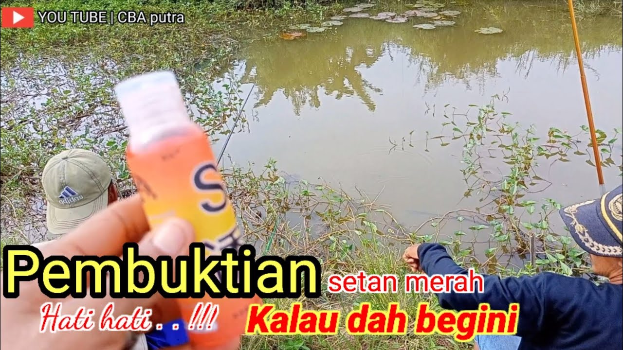 pembuktian mancing memakai umpan Lumut Essen setan merah dengan hasil yang. . .part 2