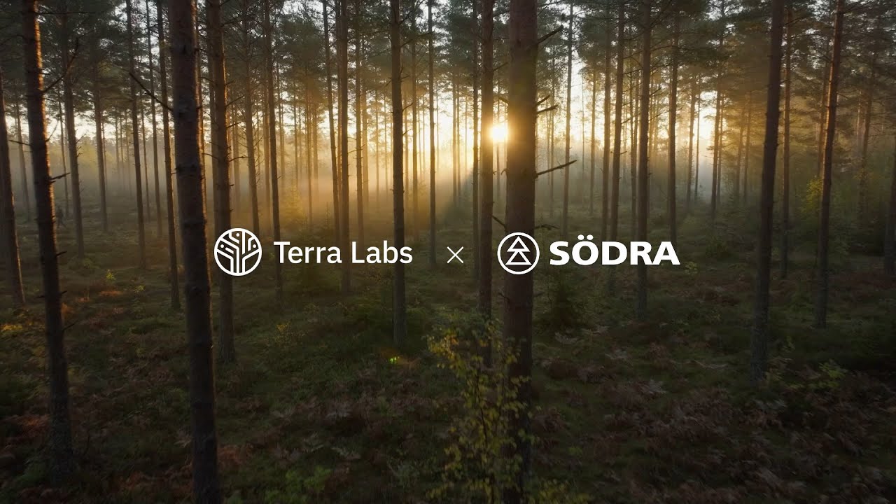 Terra Labs &times; S&ouml;dra