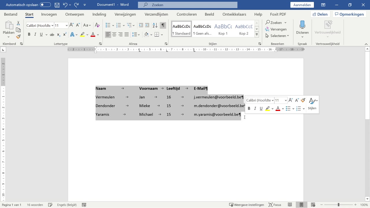Word - Tabs en tab stops