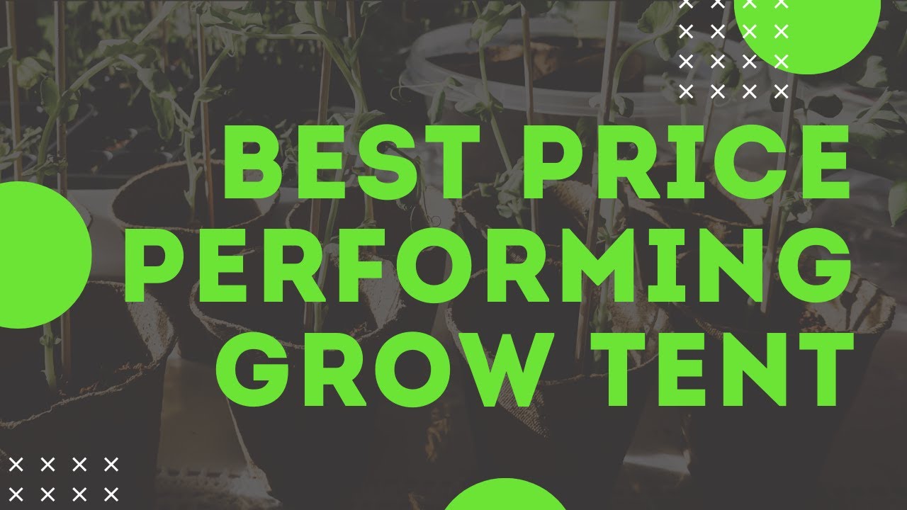 Best Inexpensive Grow Tent & Grow Room Review - Plant House Grow Tents