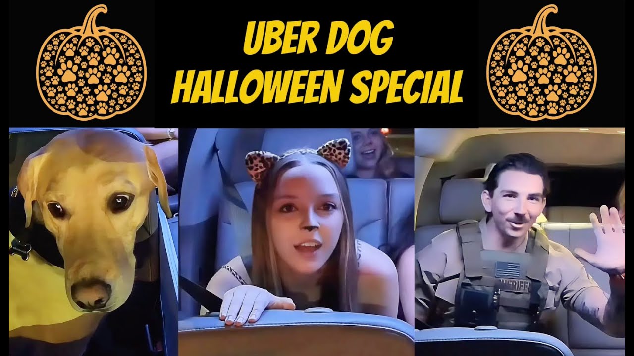 Uber Dog удивляет пассажиров на ХЭЛЛОУИН!