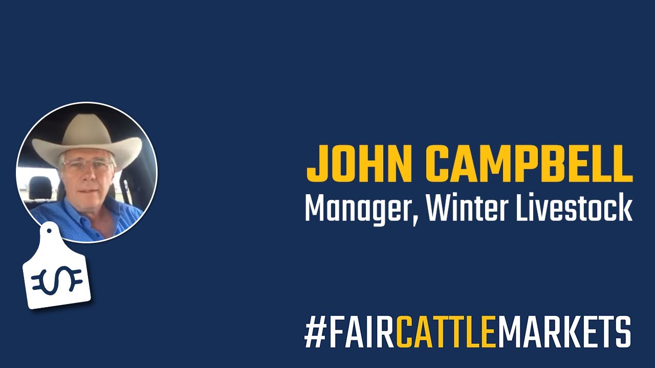 Fair Cattle Markets: John Campbell, Manager of Winter Livestock