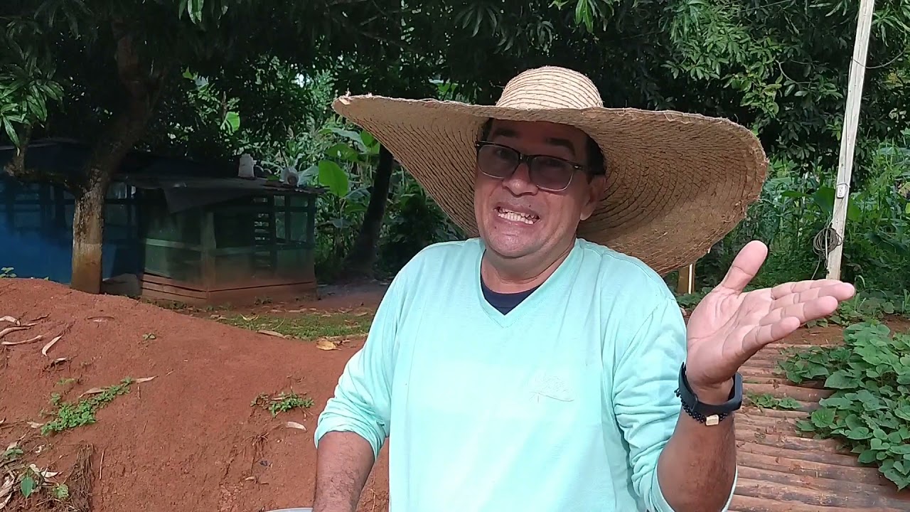 C&oacute;mo alimentar peces (Cachamas o tilapias)