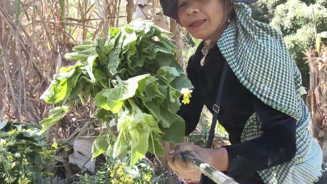 Thiante u hei ka thlai thar te lo en ve rawh u,pathian zar ah ka thar tha khawp mai.🥬