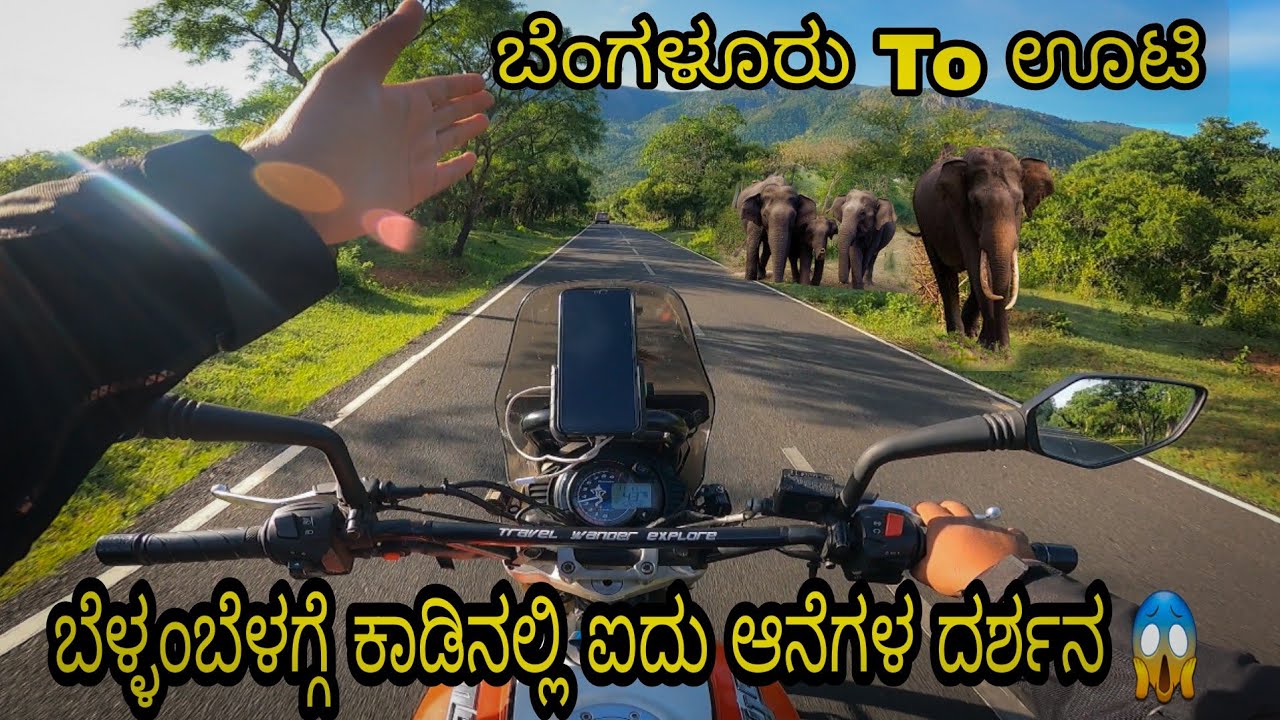 Bengaluru to ooty || via Bandipura-Mudumali- Masinagudi Forest Route | Elephant Sight 🐘 😱