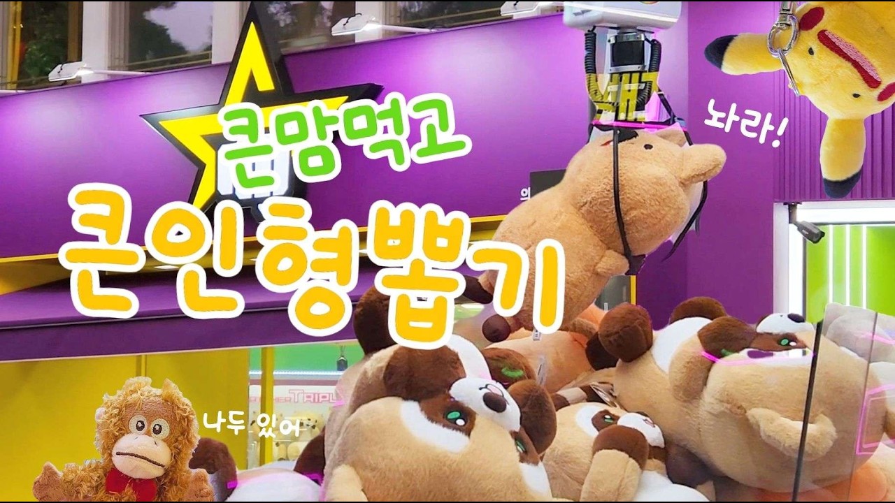 왕 크니까 왕 재밌다! 의정부 대빵오락실에서 대형인형 뽑기