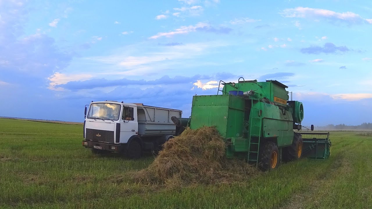 Все 6 комбайнов на уборке рапсе. У ДОН-1500Б пять раз забило измельчитель.