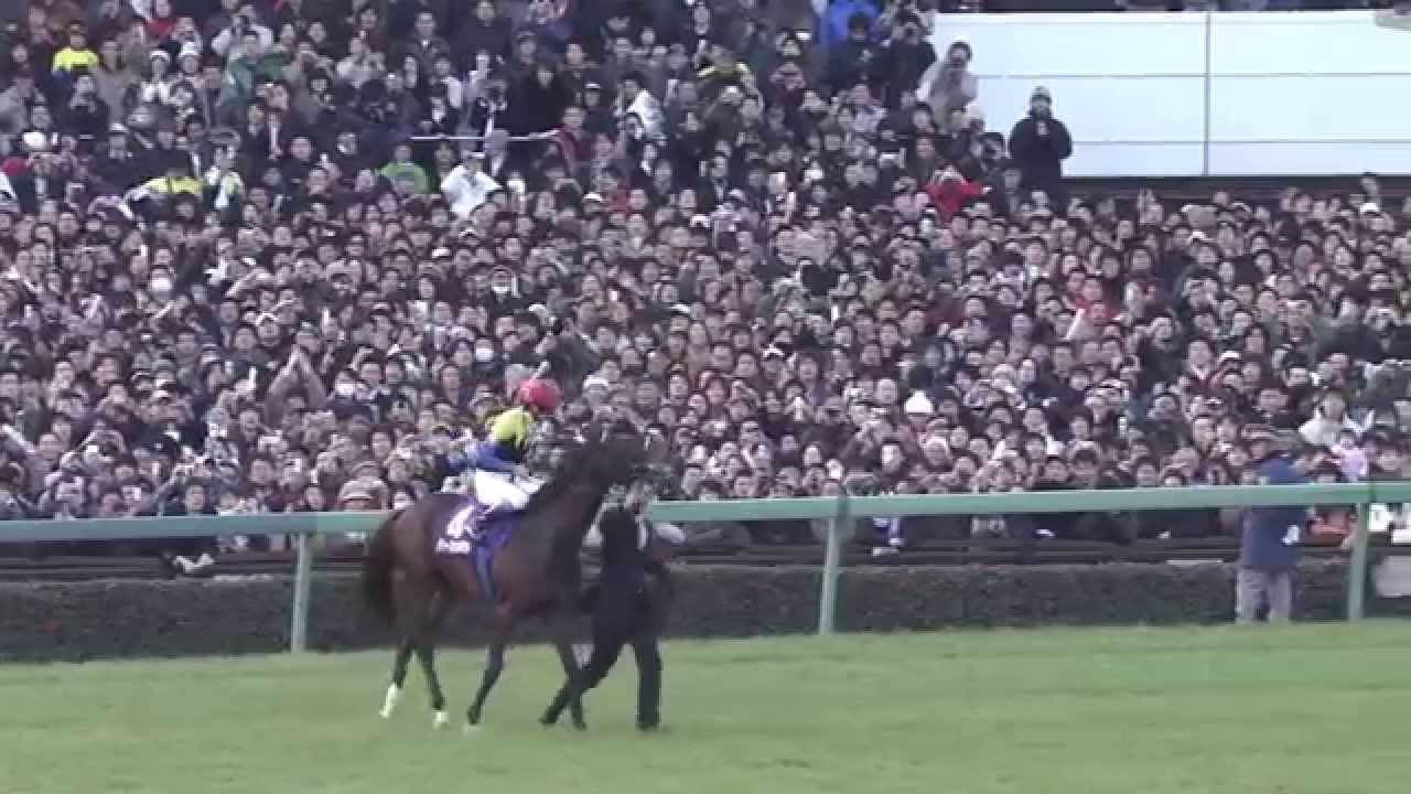 ディープインパクト ラストラン有馬記念HD2