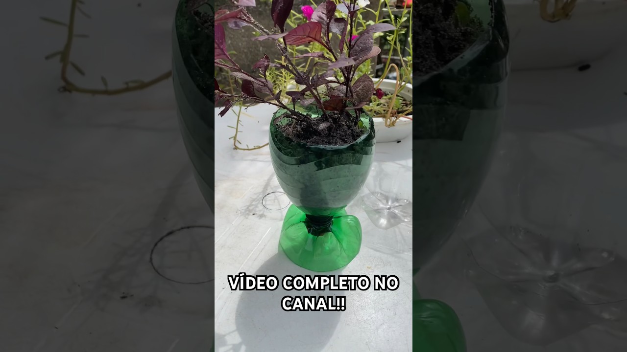 VASO DE PLANTA COM GARRAFA PET!         #dica #dicas #dicasuteis #dicasincriveis #tips #vasos #fly