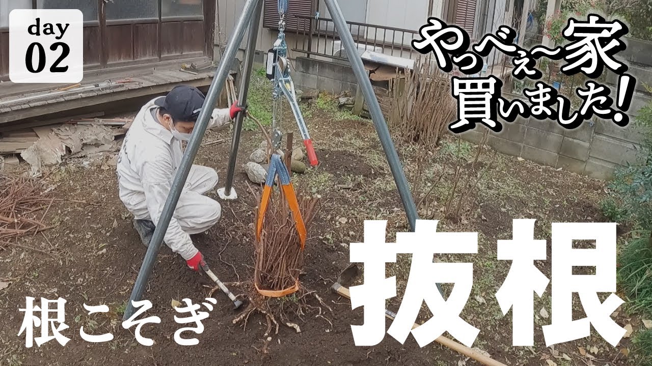 【作業2日目】激安な方法で、伐根を試してみる！