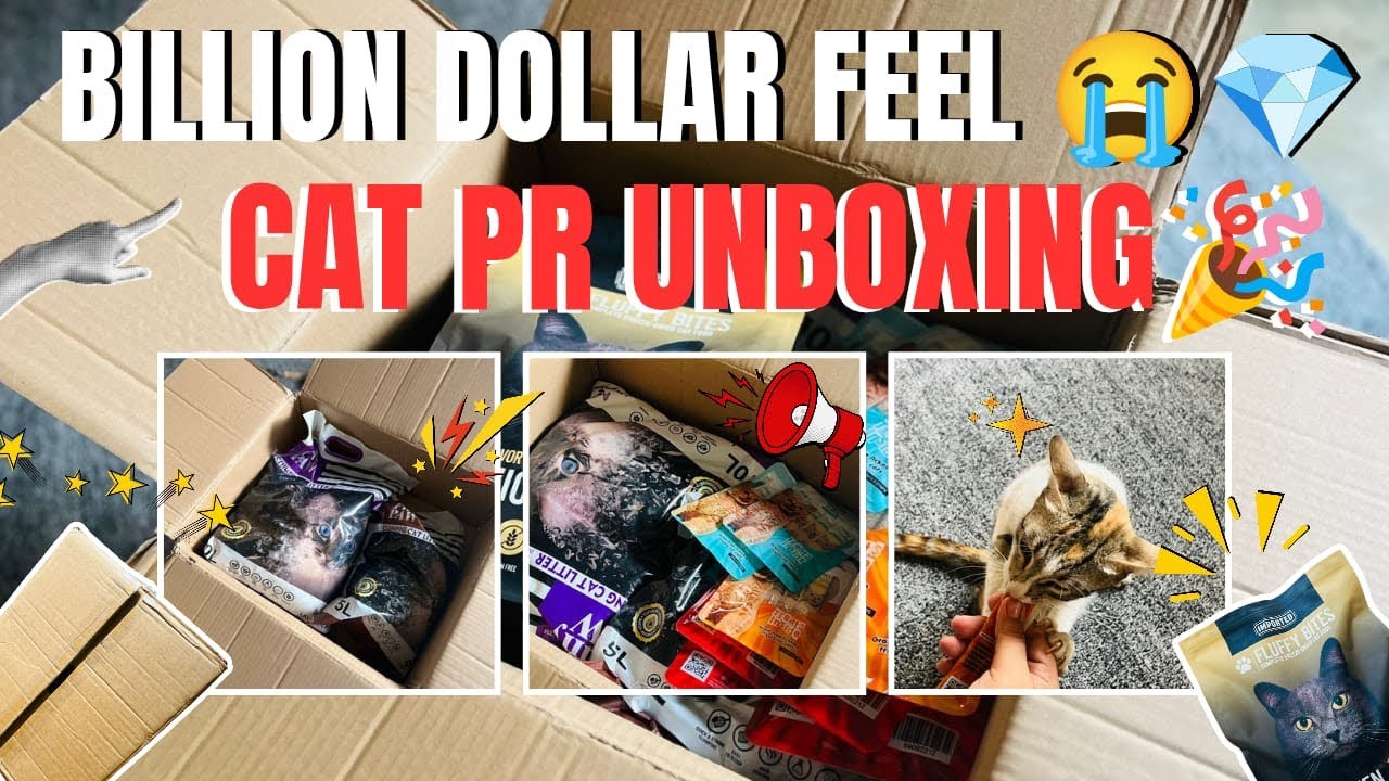 I Can’t Believe This Cat PR Package 😳 | Cat Food, Treats & More🤩🤩