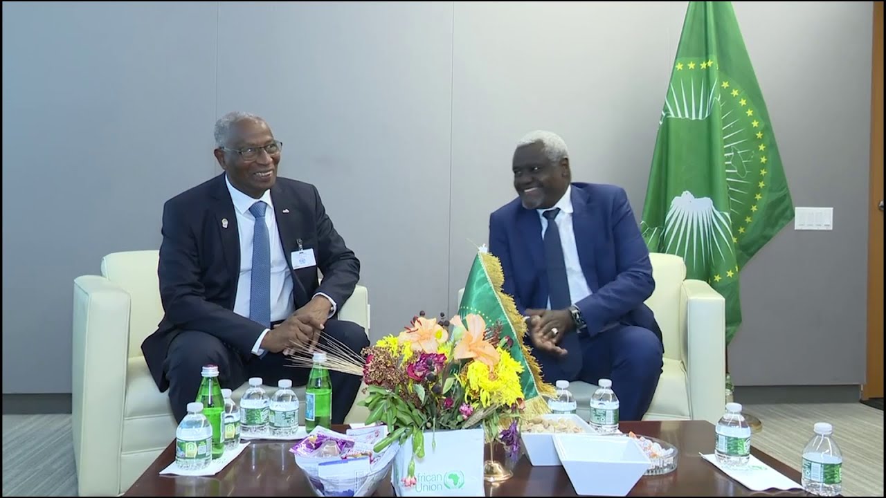 VISITE DU PM BAH OURRY A NEW YORK.  RTG GUINEE 224
