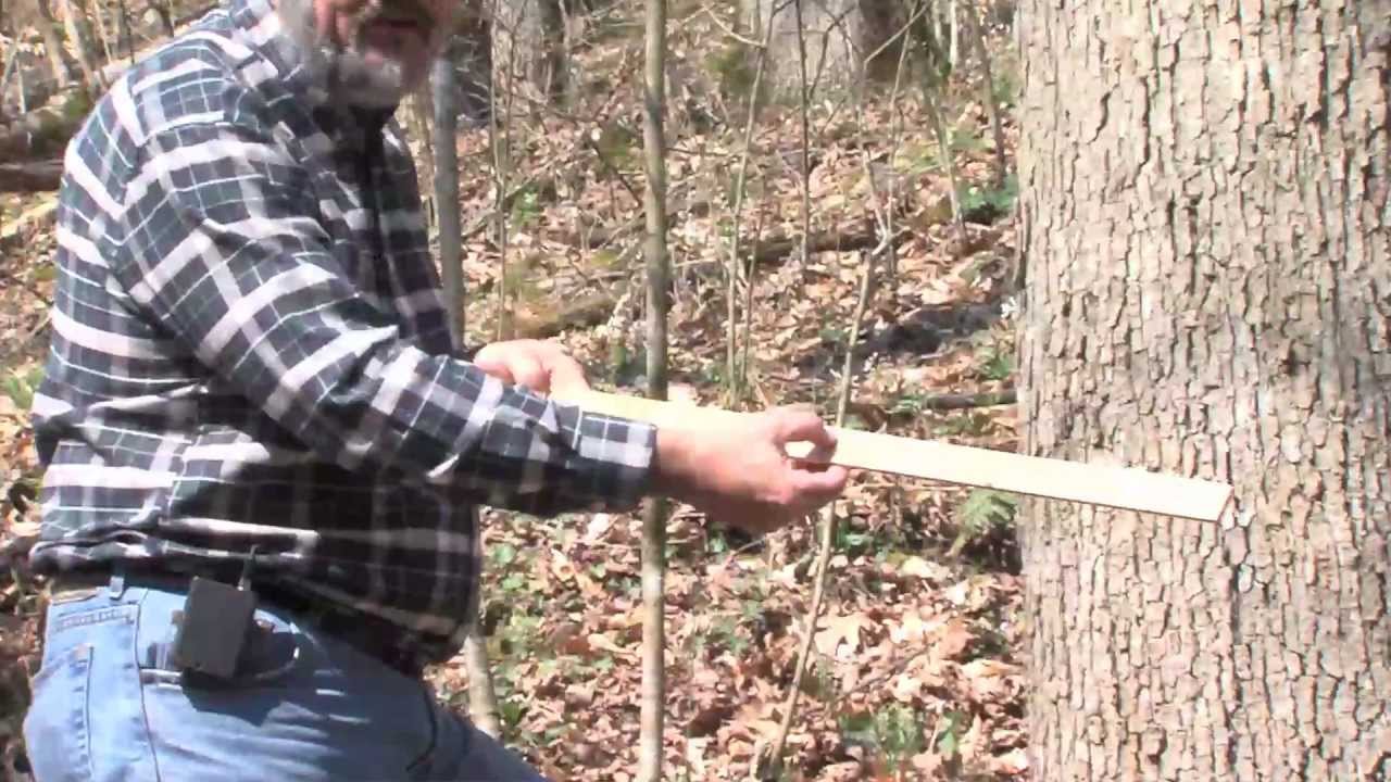 MEASURING TREE VOLUME