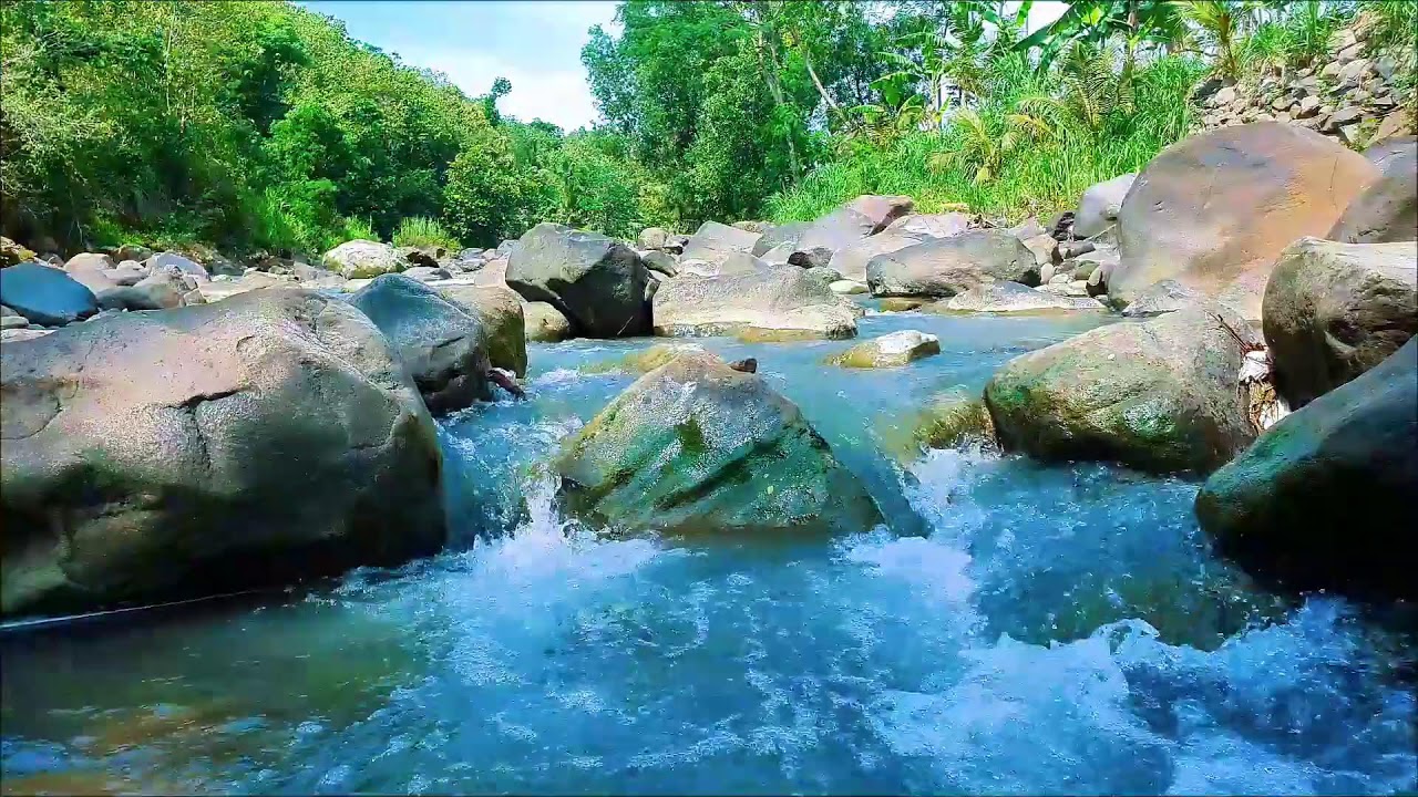 Relaxing Ambience for Sleep – Refreshing Forest River Flow for Mind Relaxation