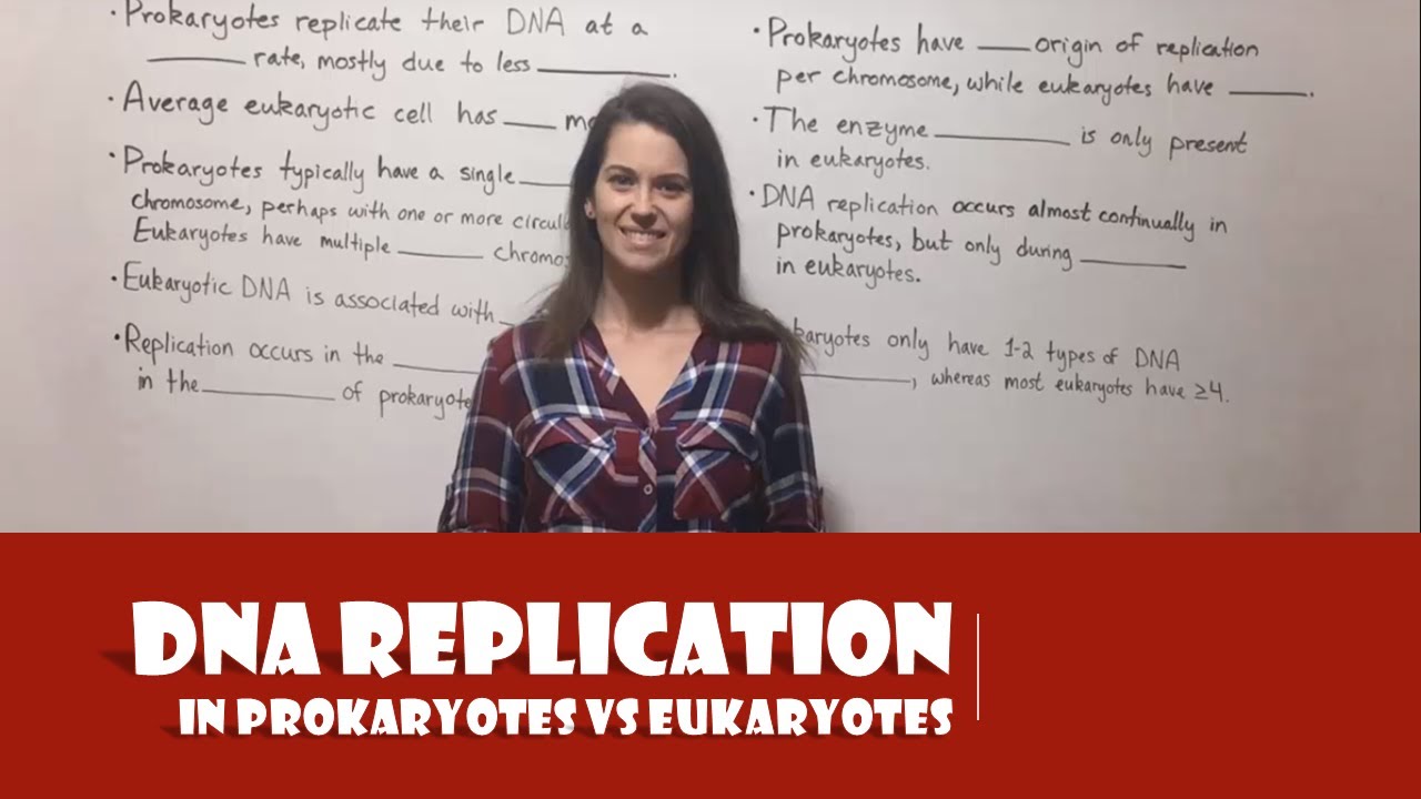 DNA Replication in Prokaryotes vs. Eukaryotes