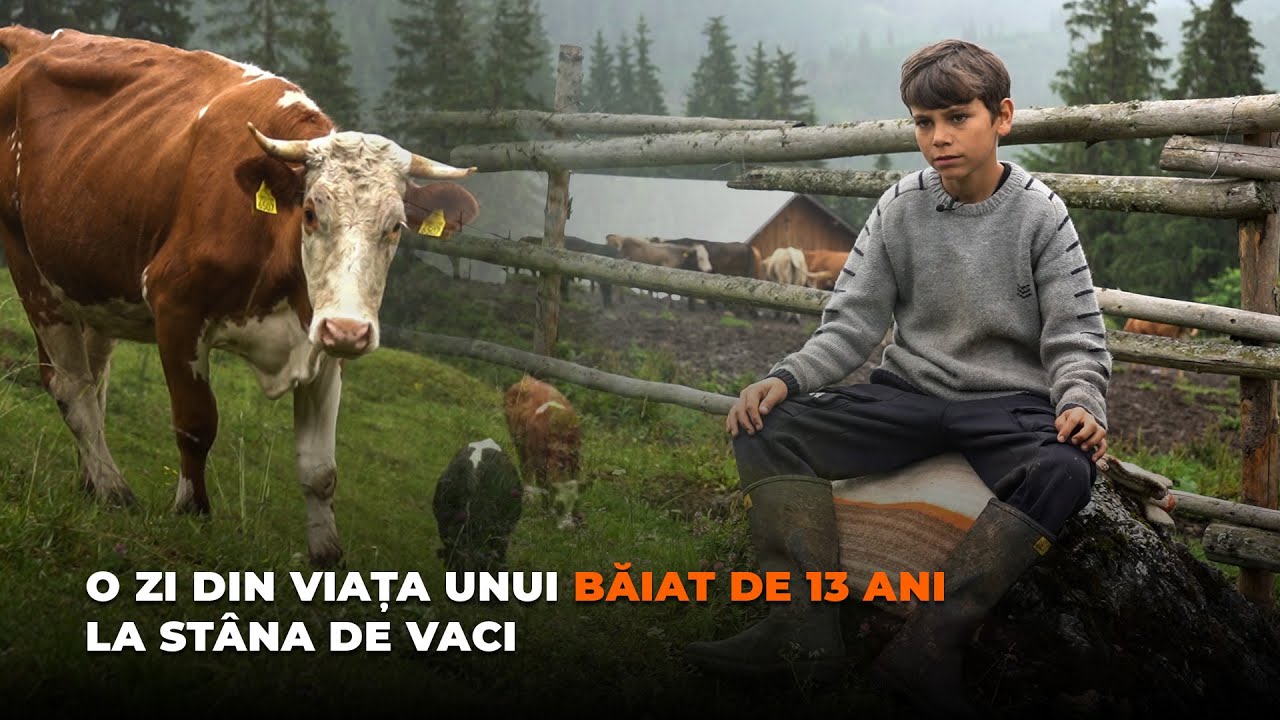 O zi din viața unui băiat de 13 ani la stâna de vaci… | Mă trezesc dimineață la ora 3