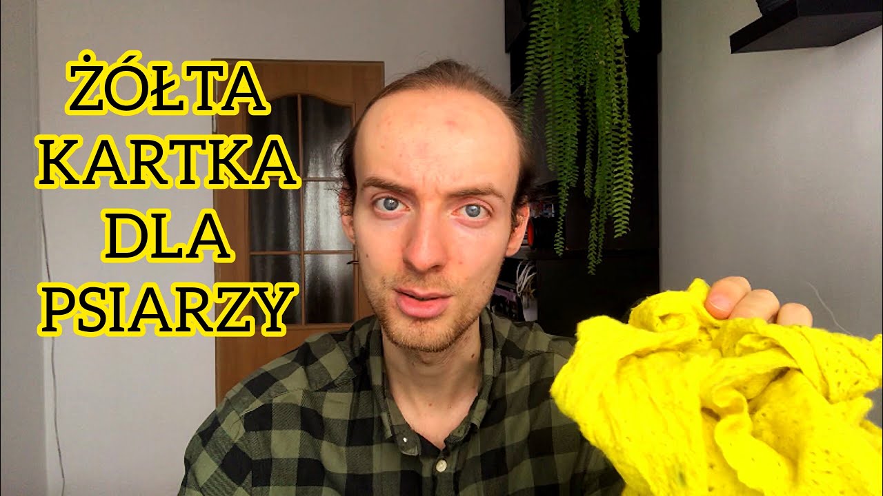 Technika dla psów w trakcie kwarantanny i z lękiem separacyjnym.