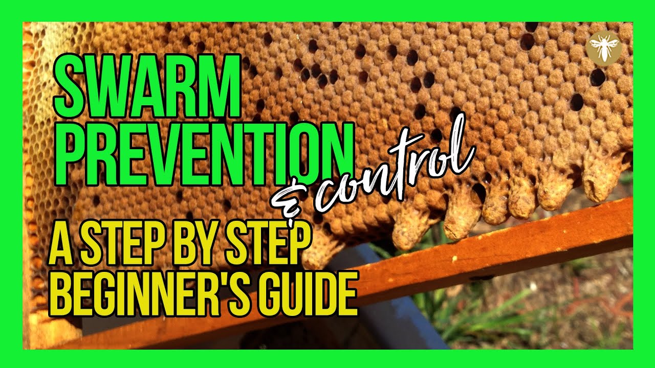 How to Prevent Swarming of Bees | Learn Step by Step with Bruce White